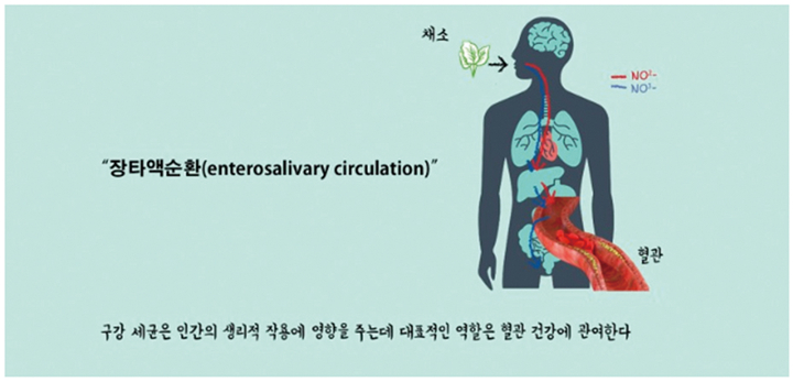 그림출처 : //m.blog.naver.com/PostView.nhn?blogId=rawlife125&logNo=221620598922&proxyReferer=https:%2F%2Fwww.google.com%2F