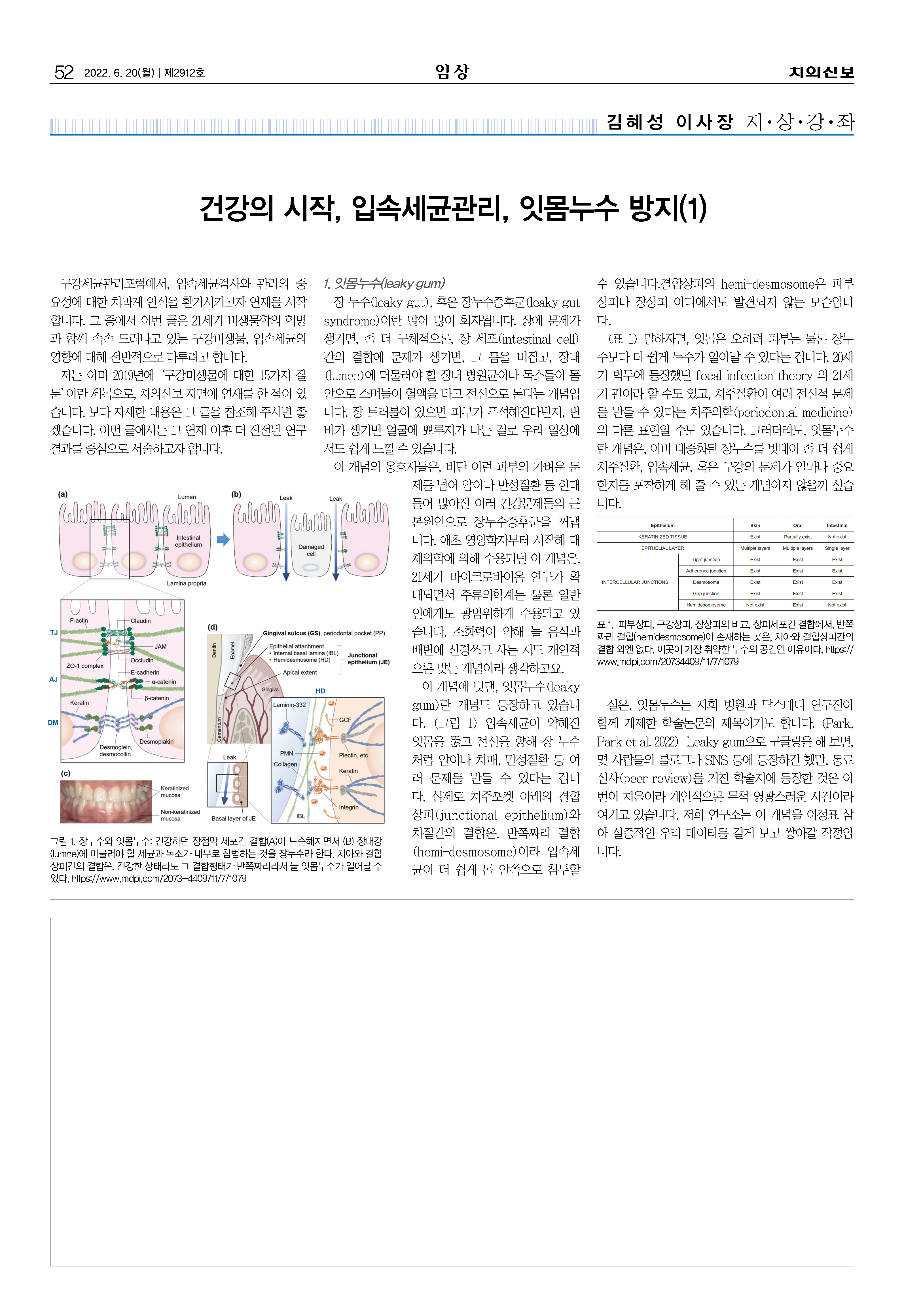 임상