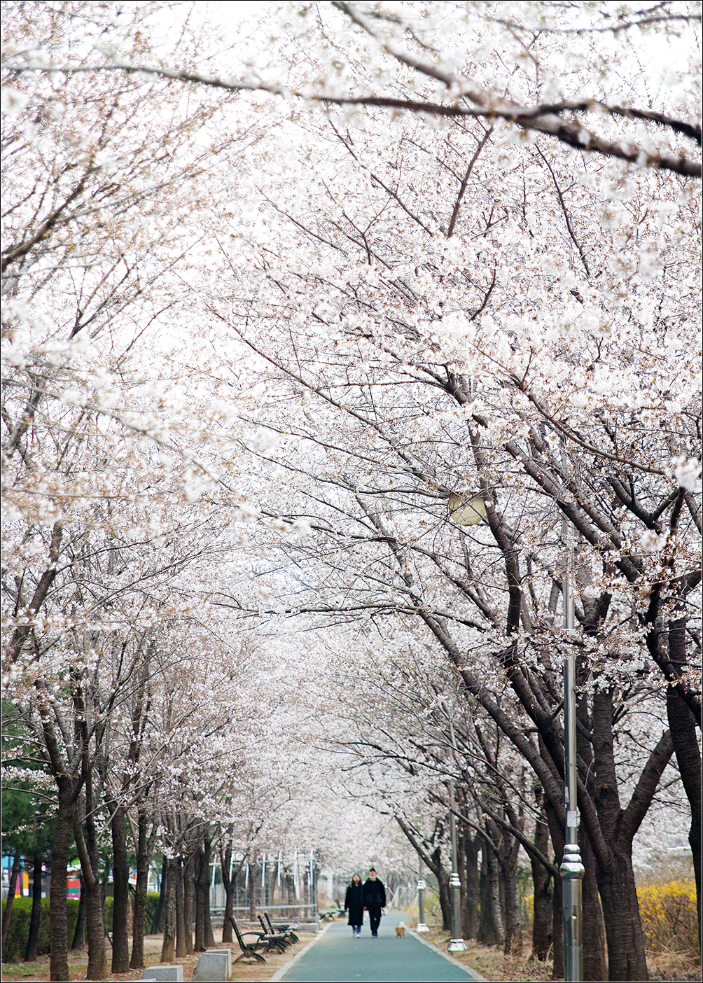 KakaoTalk_20230328_122207189