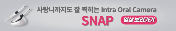배너