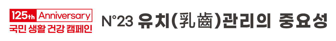 배너