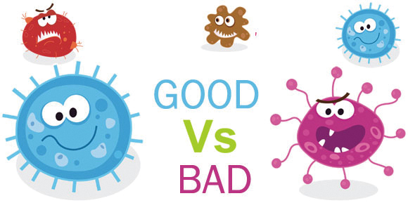 그림출처 : //www.aartiinformatics.com/wp-content/uploads/2014/04/Good-Vs.-Bad-Bacteria.jpg