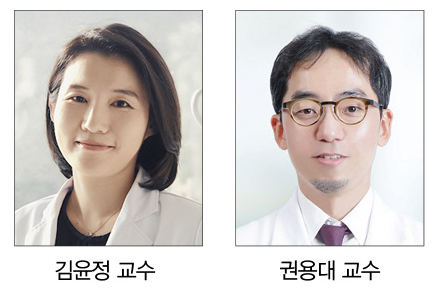 '골 소실 임플란트' 확실한 답을 찾다